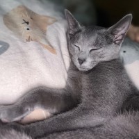 Photo of Astro