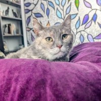 Photo of Fae