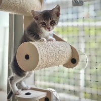 Photo of Kat