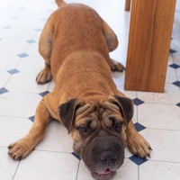 Photo of Oakley