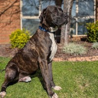 Photo of Stryker