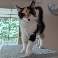 Photo of Wilma Flintstone 