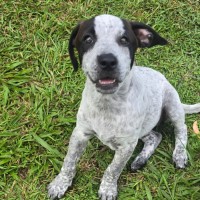 Photo of Skye