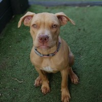 Photo of Junie