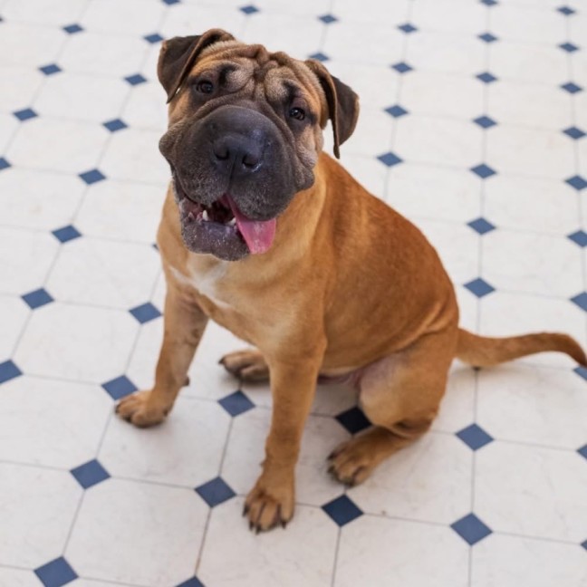 Photo of Oakley