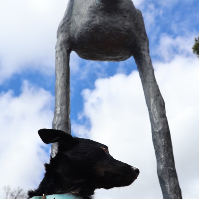 Photo of Gypsy
