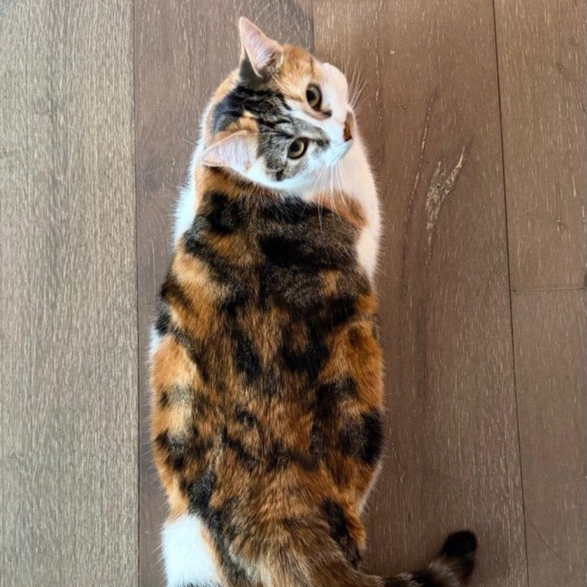 Photo of Aiko And Emiri 🌺💙