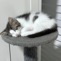 Photo of Pud