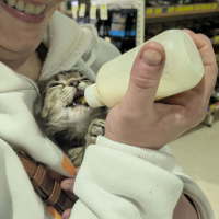 Photo of Spunky Spud