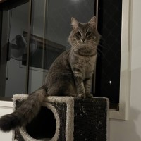 Photo of Phatty 