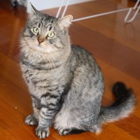 Photo of Navae