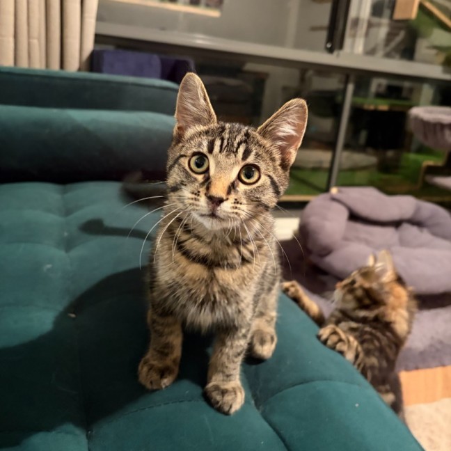 Photo of Friday & Woody