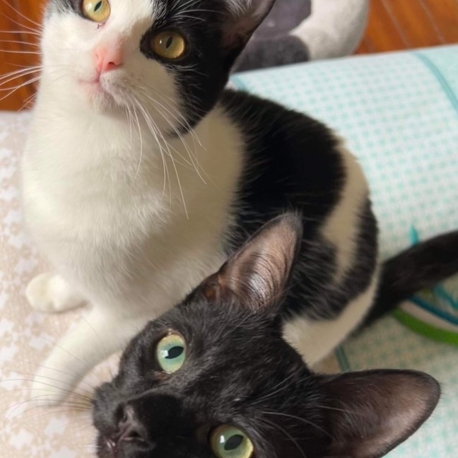 Photo of Eddie & Akira