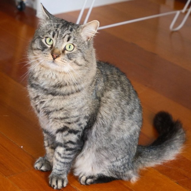 Photo of Navae
