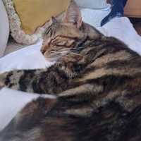 Photo of Chilli