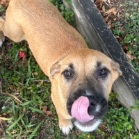 Photo of Vanity Smurf