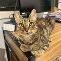 Photo of Elke
