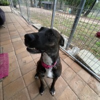 Photo of Narla