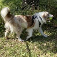 Photo of Murphy