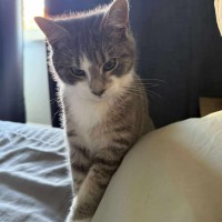 Photo of 🤗Sylvester🤗