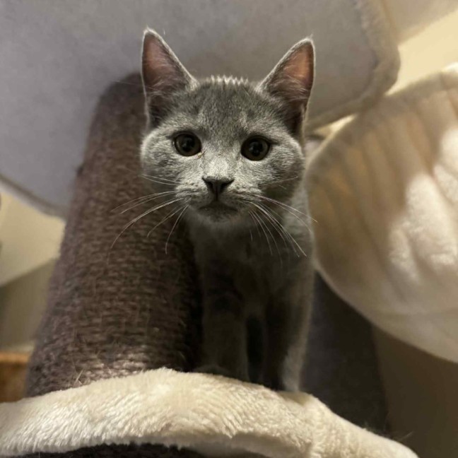 Photo of Dee   Located In Preston