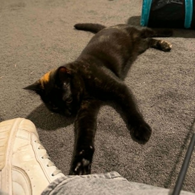 Photo of Genie