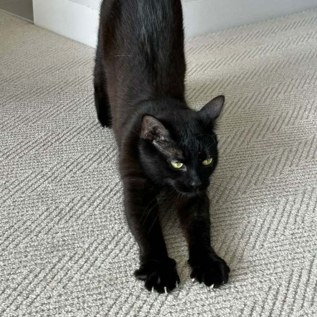 Photo of Elsie 