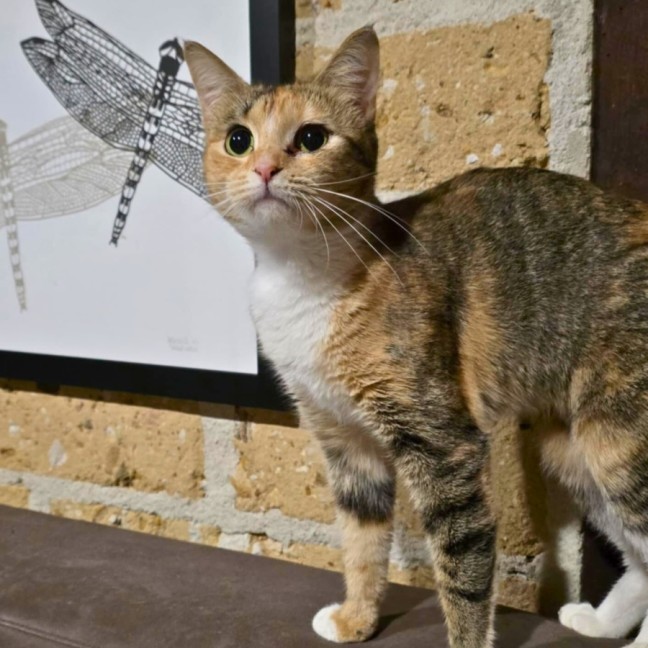 Photo of Hazel