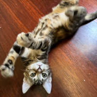 Photo of Little Miss Spink 🌺🌼🌹