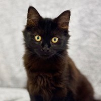 Photo of 💖 Mavis 💖