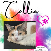 Photo of Callie