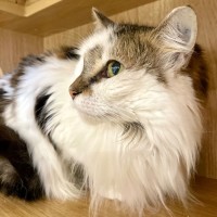 Photo of River And Tyra