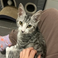 Photo of Lolla Lee Lou