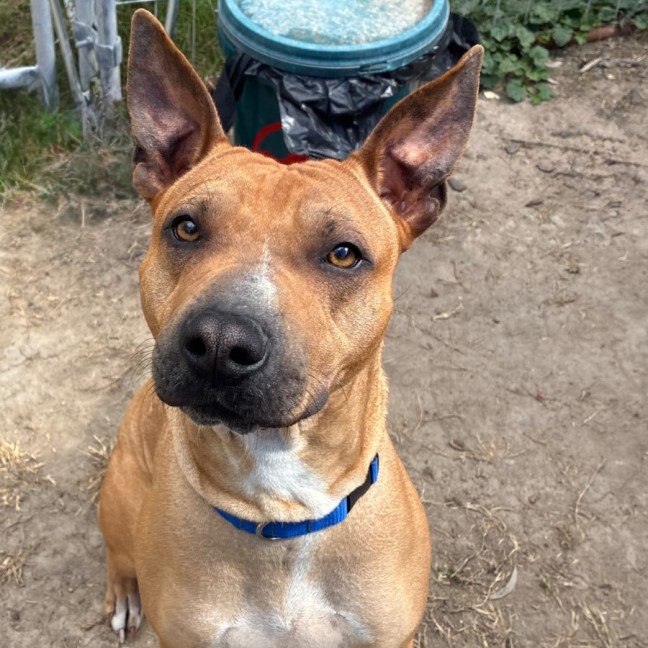 Photo of Zeus 