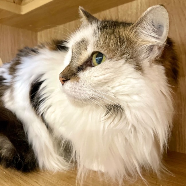 Photo of River And Tyra