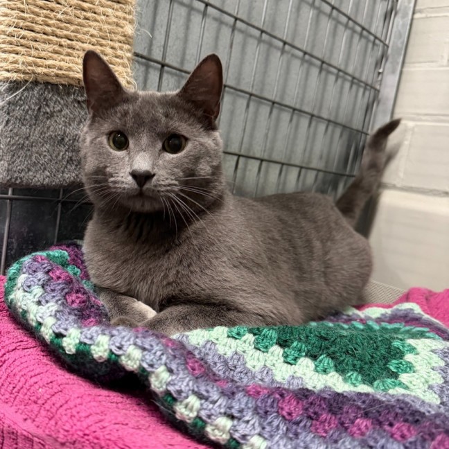 Photo of Sammy