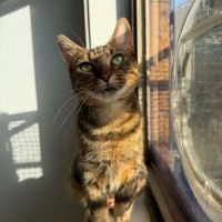 Photo of Elke