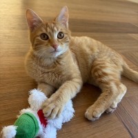 Photo of Huey