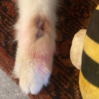 Photo of Marty & Kimba