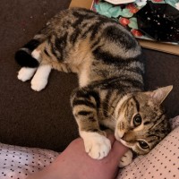 Photo of Tabitha
