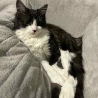 Photo of Milly 🌷🌷