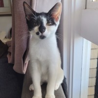 Photo of Manny And Munro