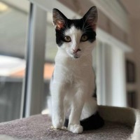 Photo of Plankton   Located In Frankston