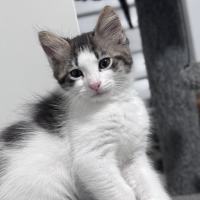 Photo of Pud