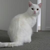 Photo of Olaf
