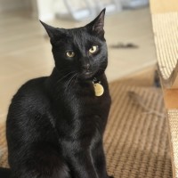 Photo of Luna & Noctis
