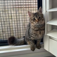 Photo of Lola