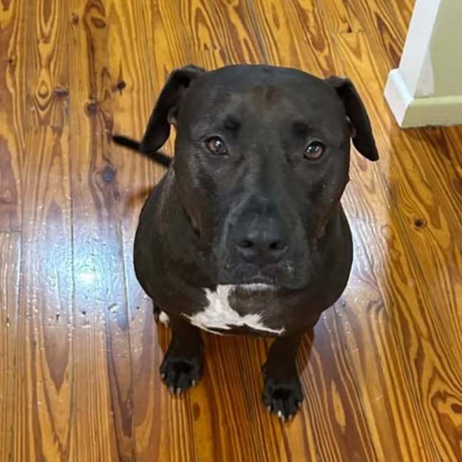 Photo of Rocket