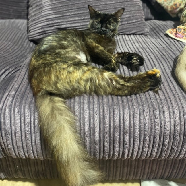 Photo of Heidi  🥰