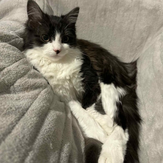 Photo of Milly 🌷🌷